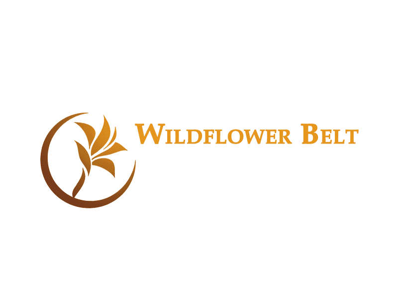 Wildflower Belt Thumbnail